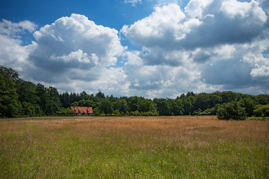Waldlichtung bei Sonne mit Wiese und Haus