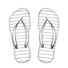 Sketch of beach slippers. Summer shoes. Vector illustration
