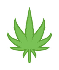 Cannabis marijuana leave eco design elements Leaf icon vector illustration friendly nature elegance symbol. Decoration marijuana leaf icon. Cannabis marijuana symbol green organic leave