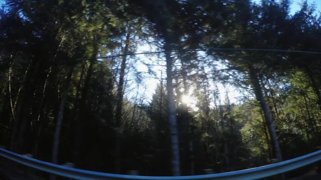 Car passing forest