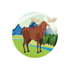 Deer icon. Landscape background. Vector graphic