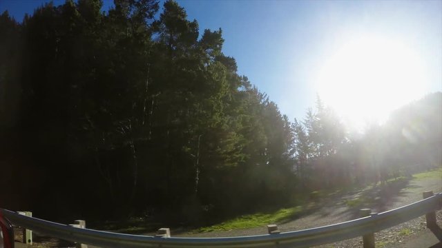 Car passing forest