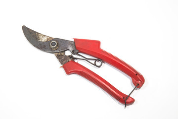 Obraz premium gardening secateurs for cutting branches isolated on white background