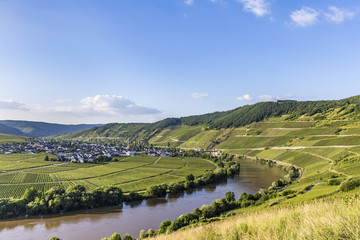 famous Moselle loop at Trittenheim