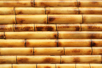 Wet yellow bamboo wall background