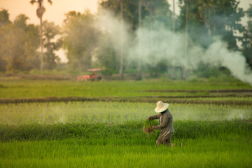 Farmers working the sunset