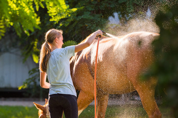 Horse enjoying the shower outdoor