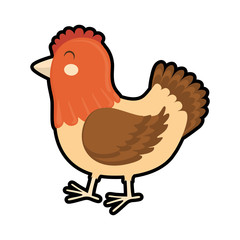 Farm animal concept represented by chicken cartoon icon. isolated and flat illustration 