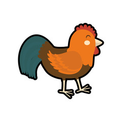 Farm animal concept represented by chicken cartoon icon. isolated and flat illustration 