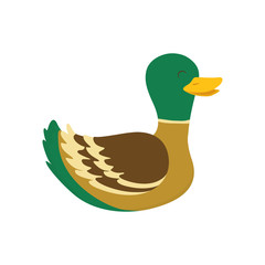 Farm animal concept represented by duck cartoon icon. isolated and flat illustration 