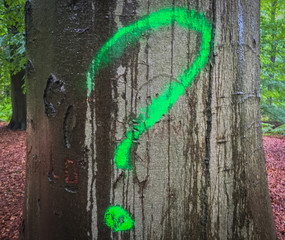 question mark on a tree close up