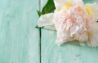 peonies on wooden surface