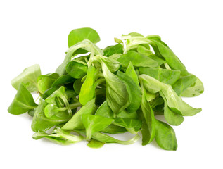 Fototapeta na wymiar lettuce isolated on white