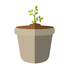 Nature concept represented by green plant and pot icon. isolated and flat illustration 