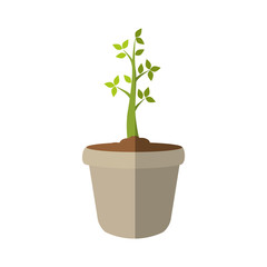 Nature concept represented by green plant and pot icon. isolated and flat illustration 