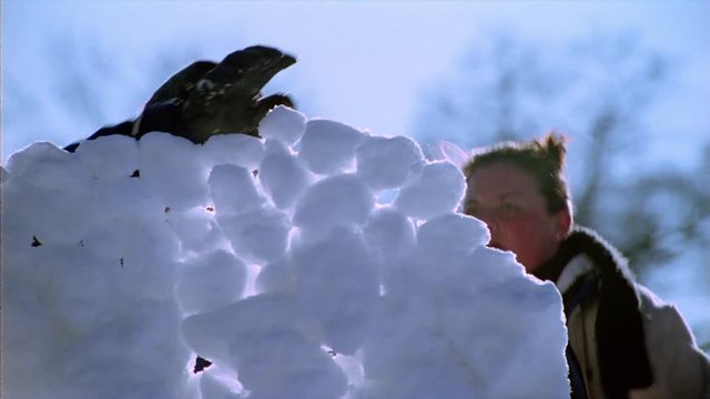 Man And Woman Building A Snowball Fort