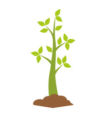 Fototapeta premium Nature concept represented by green plant icon. isolated and flat illustration 
