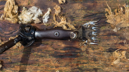 old fashion sheep shearing clippers on wooden background