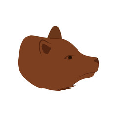 Animal concept represented by bear cartoon icon. isolated and flat illustration 