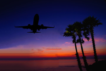 Silhouette sugar palm trees on beach and plane fly at twilight.