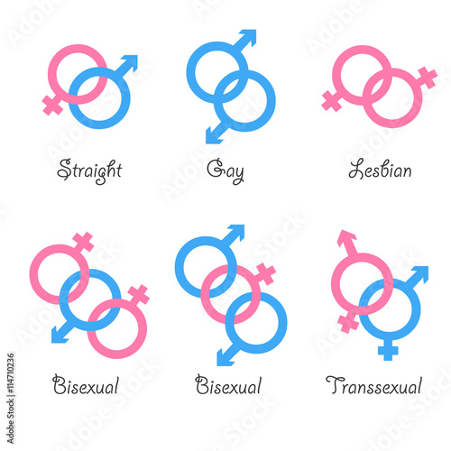 Sexual Orientation Bisexual 12
