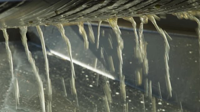 Riesling grape juice streaming from a press