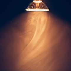 halogen lamp with reflector, warm light in fog