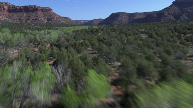 Flight over wide, wooded canyon and desert river