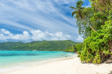 Fototapeta na wymiar Tropical beach in Seychelles, Mahe