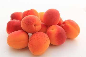 Récolte d'abricots