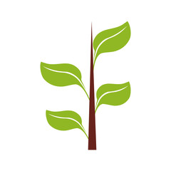 Nature plant concept represented by leaf icon. isolated and flat illustration 