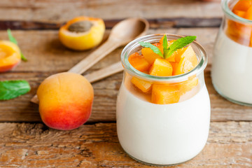 Italian dessert panna cotta with apricot