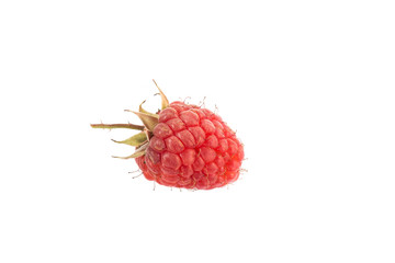 Raspberry isolated on a white background.