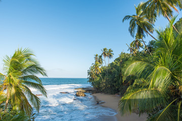 Fototapeta na wymiar Wild caribbean beach of Manzanillo at Puerto Viejo, Costa Rica