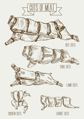 Hand drawn vector illustration cuts of meat for restaurant, organic product shop or market. Beef, lamb, pork, rabbit and chicken cutting scheme in vintage sketch style.