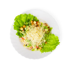 Caesar Salad isolated on white
