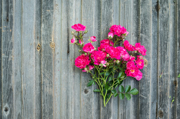 Fototapeta na wymiar Garden roses on weathered wooden background. Valentines day backcground