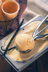 Homemade Vanilla Ice Cream 