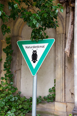 Naturdenkmal auf dem Friedhof