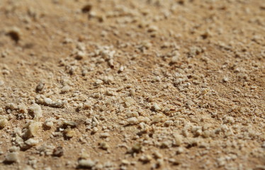 Macro of bread crumbs lying on a wooden slat