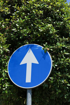 Pfeil Schild Blau - nach vorne gehen