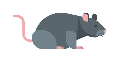Rat mouse isolated on white. Wild rodent animal mouse rat vector character. Cute little rat or mouse fur tail domestic paw. Funny fluffy cartoon nature animal character icon. Rodent animal mammal.