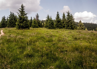Fototapeta na wymiar Medzirozsutce mountain pass between Maly Rozsutec and Velky Rozsutec hills in Mala Fatra mountains with meadow and trees