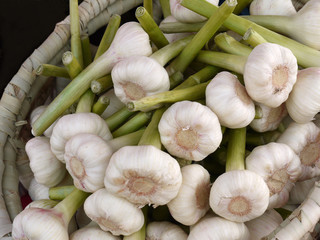 frischer Knoblauch.