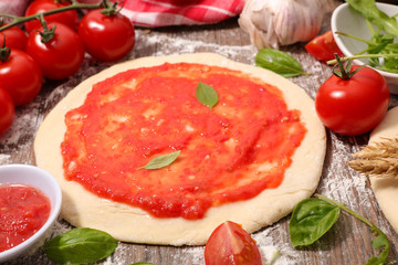 pizza dough and ingredient
