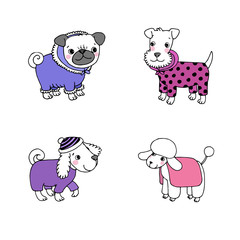 Cute cartoon dogs in winter clothes.