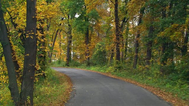 Rural residential lane through woods in autumn colors