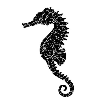 grunge seahorse silhouette
