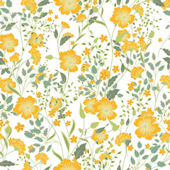 Vector vintage seamless floral pattern. Herbs and wild flowers.