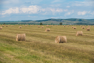 Multiple haymoves in the field